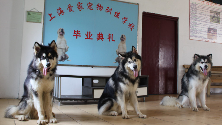 照片 069_副本.jpg