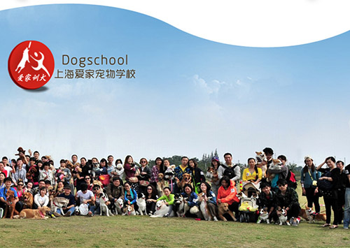 爱家宠物学校